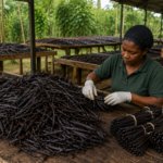 Vanilla Beans for Food Manufacturers: Complete Guide