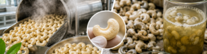 organic cashew peeling process