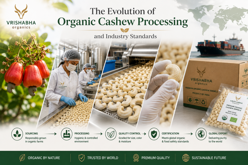 the evolution of organic cashew processing